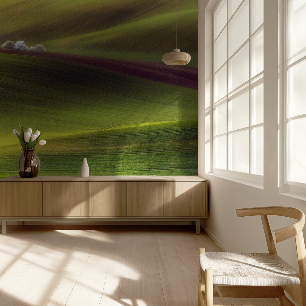 Golden fields | Wallpaper