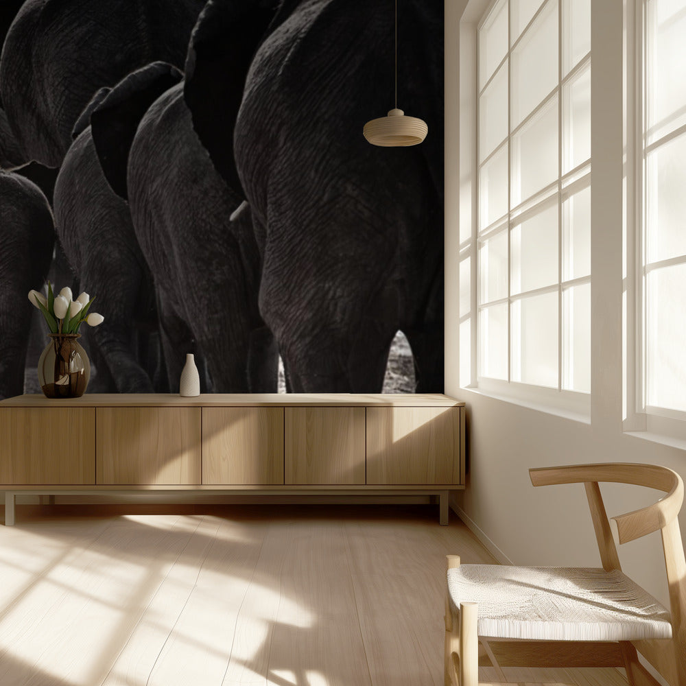 Walking Home | Wallpaper