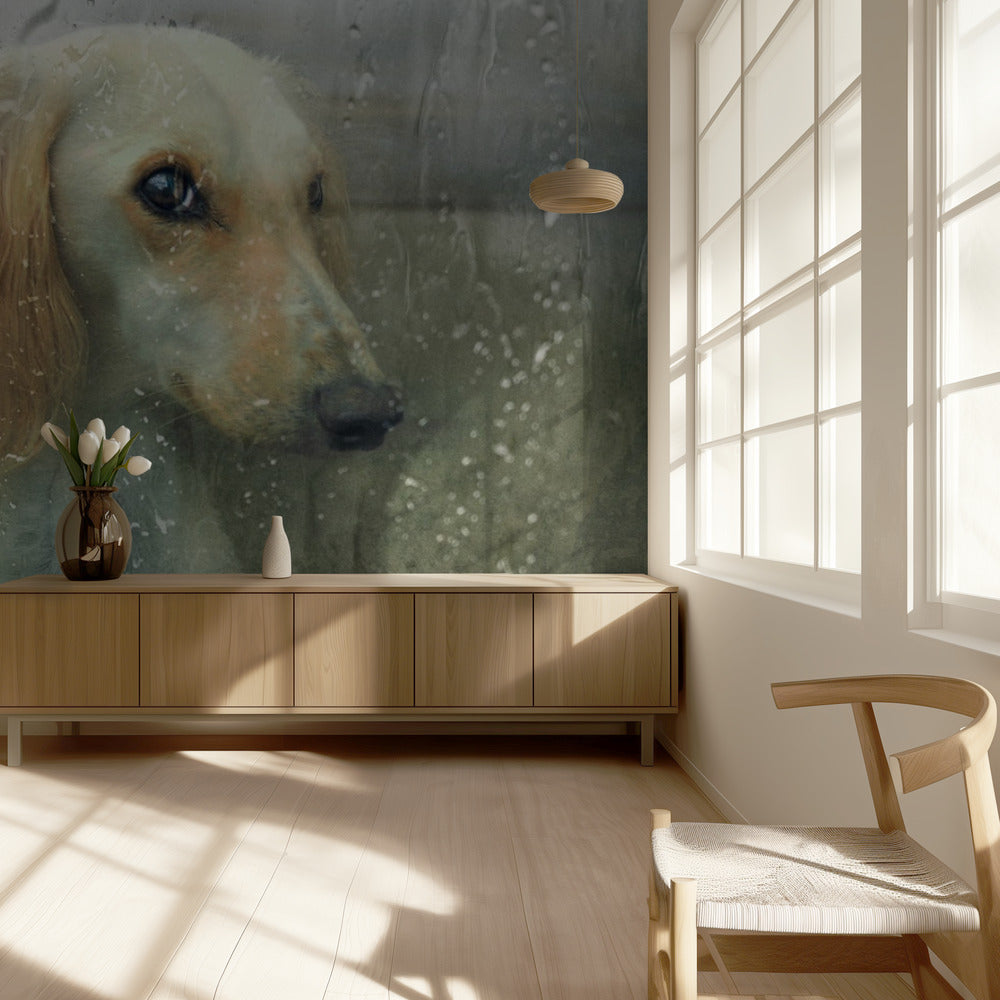 That autumn... | Wallpaper