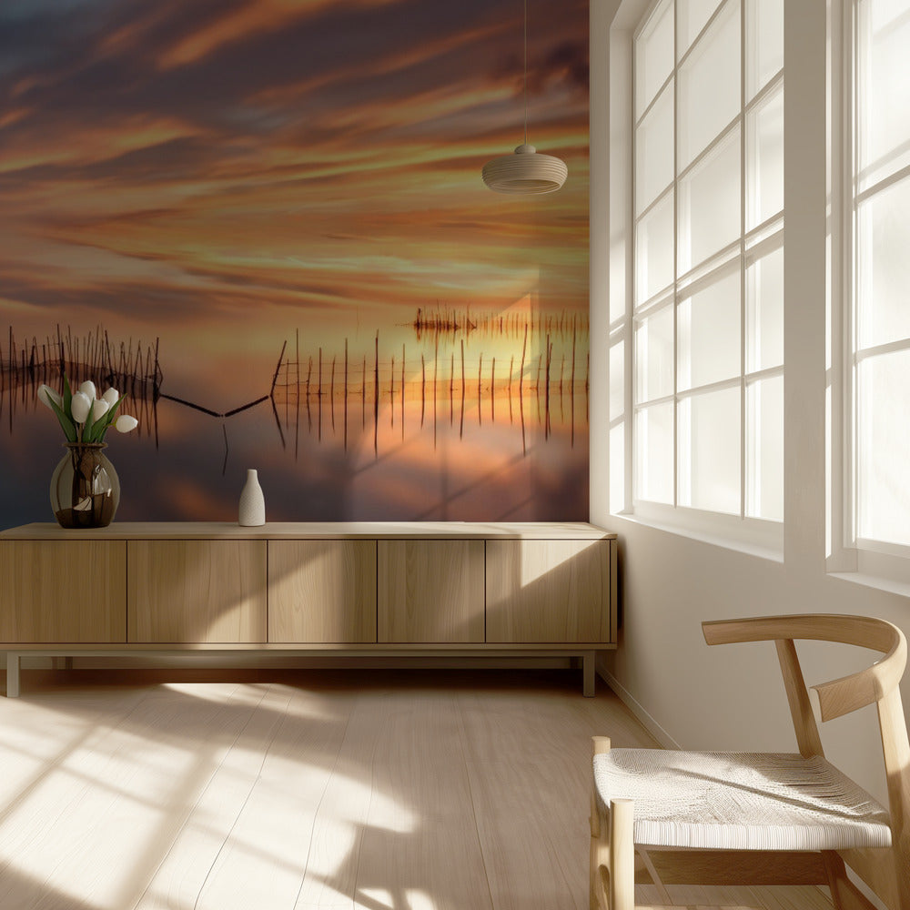 Fishnets | Wallpaper