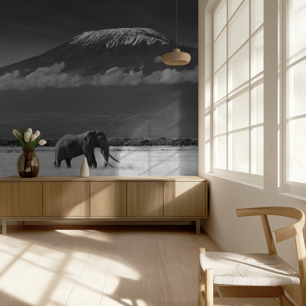 Lost Colors II | Wallpaper