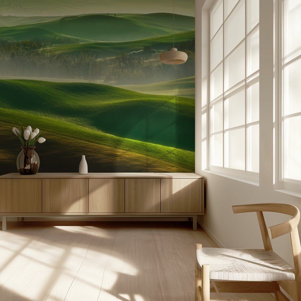 Freedom.... | Wallpaper