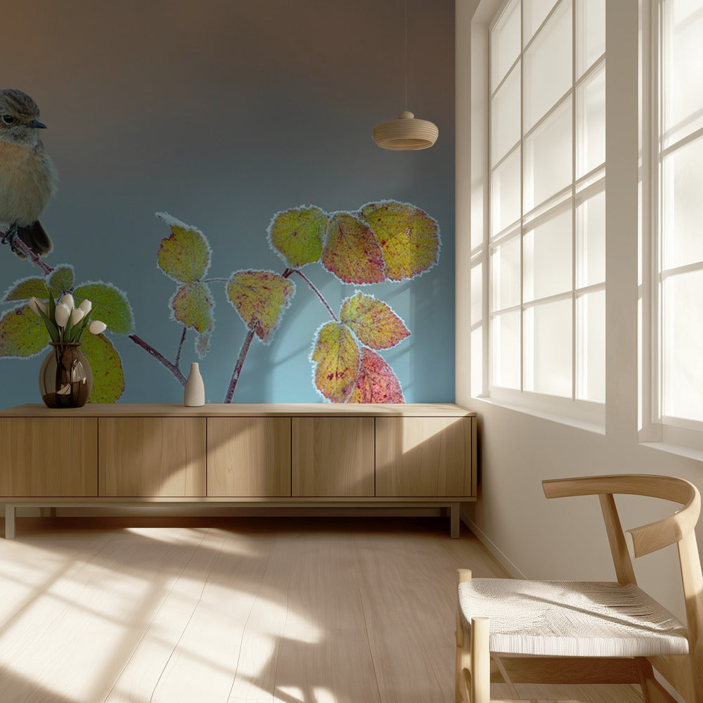 Winter colors | Wallpaper