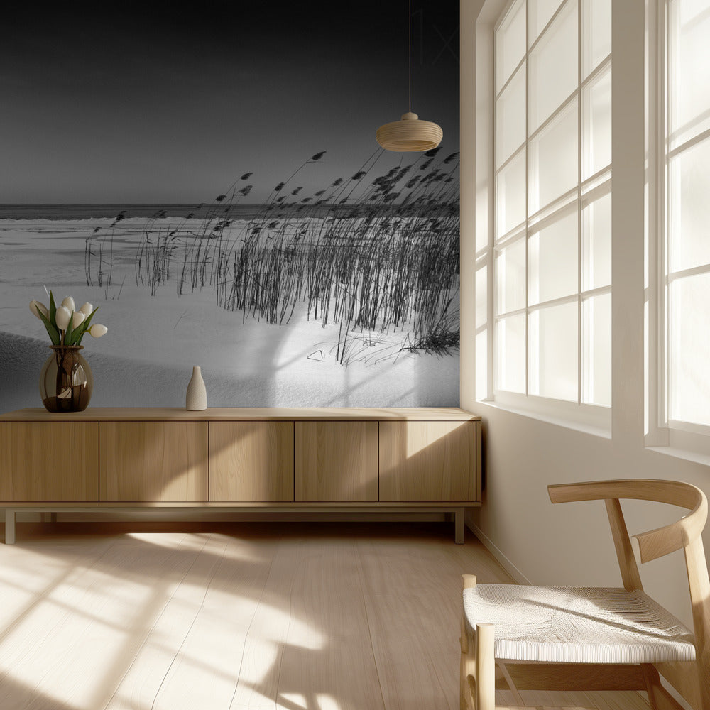 Orchestra | Wallpaper