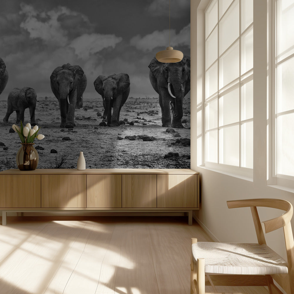 Big Family | Wallpaper