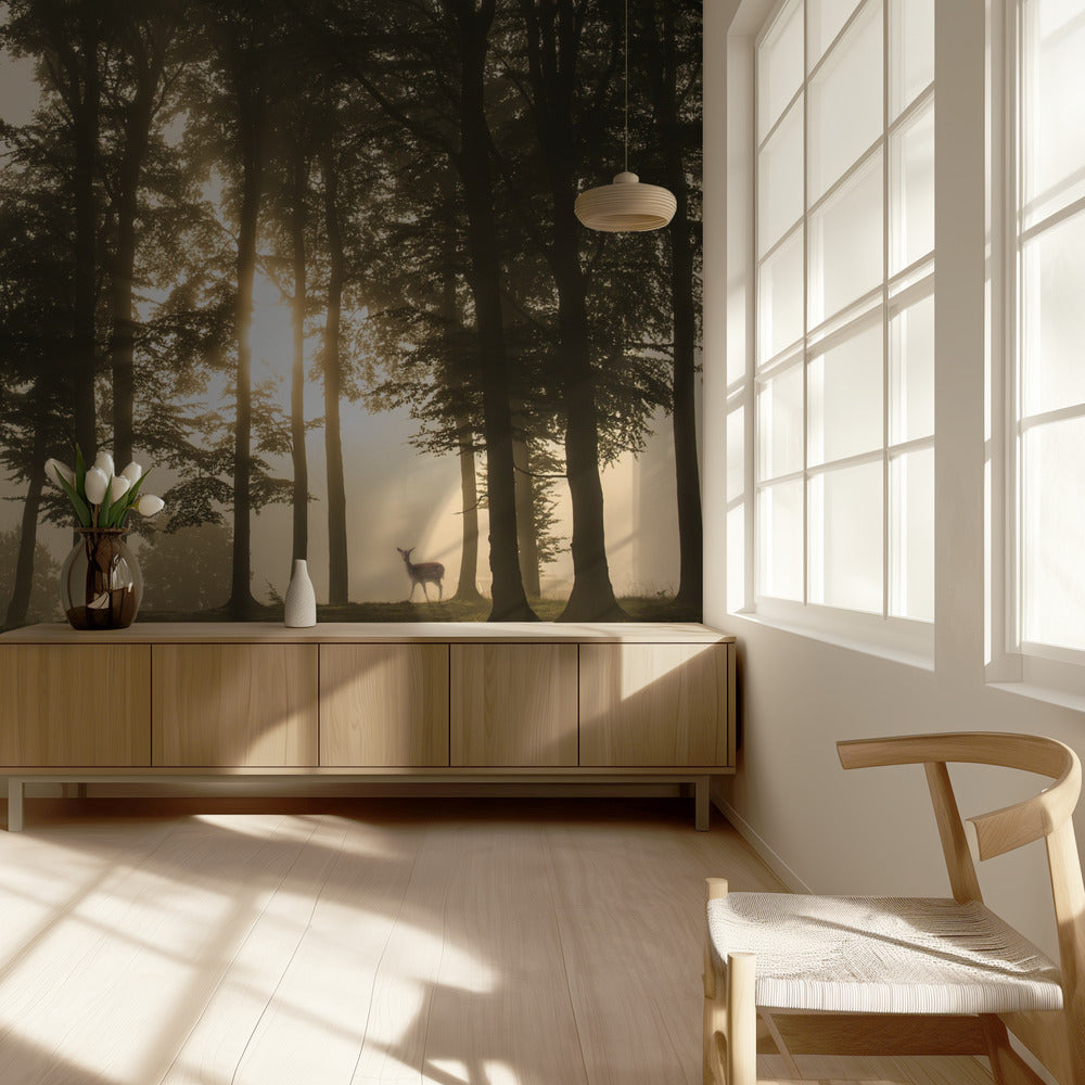 Deer in the morning mist. | Wallpaper