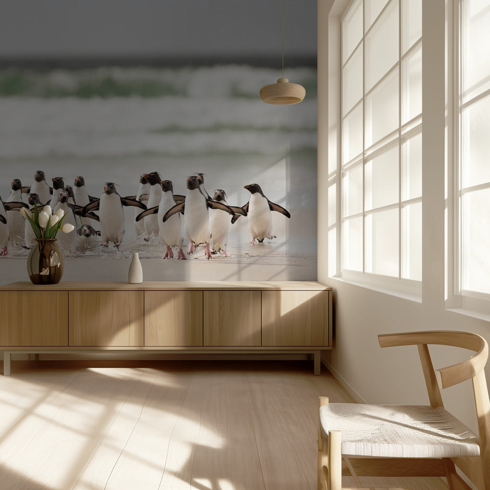 Desembarco | Wallpaper