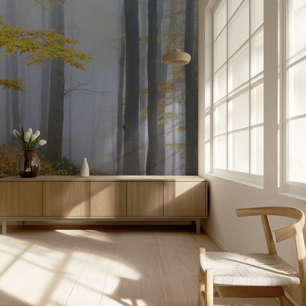 Untitled | Wallpaper