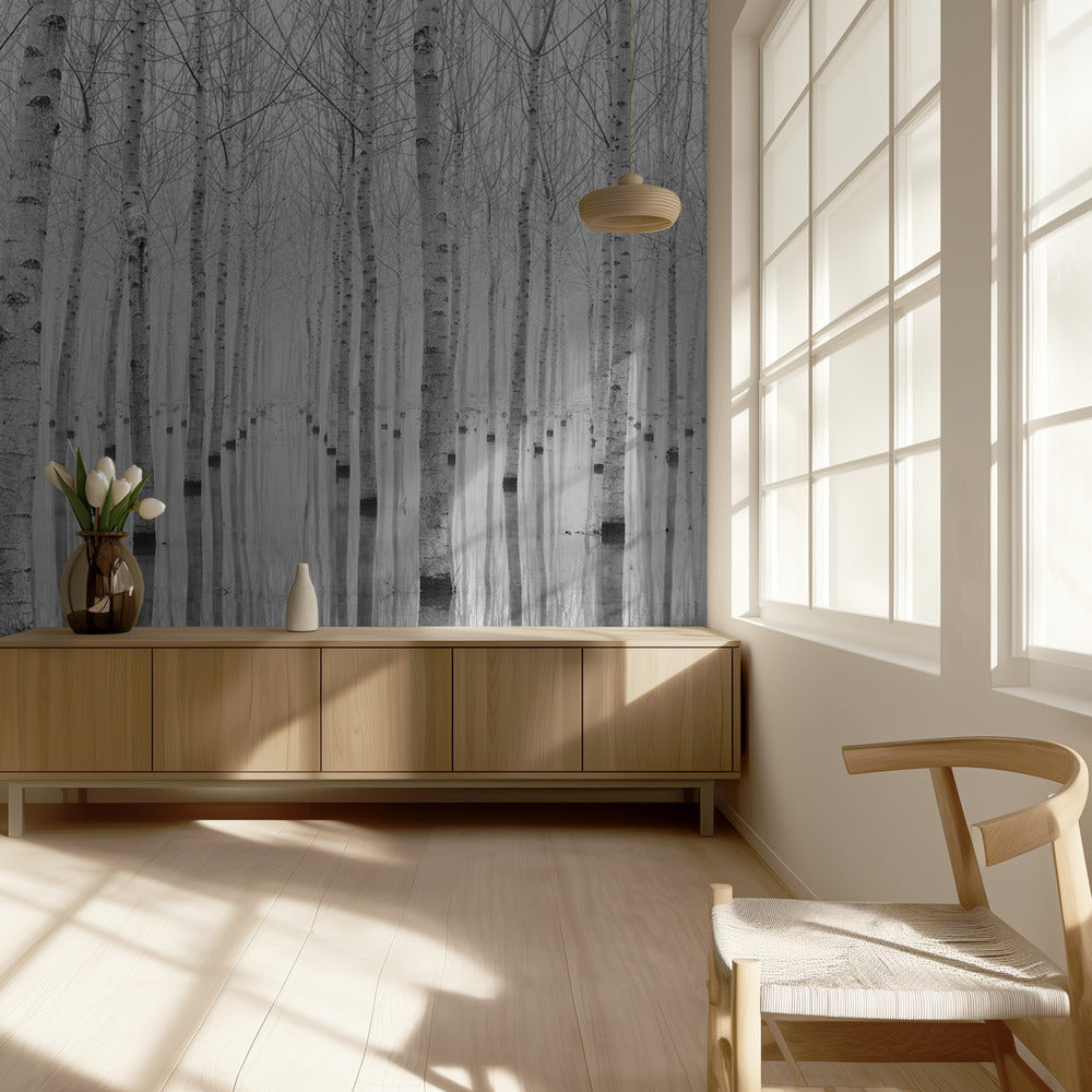 Novembre 2014 | Wallpaper