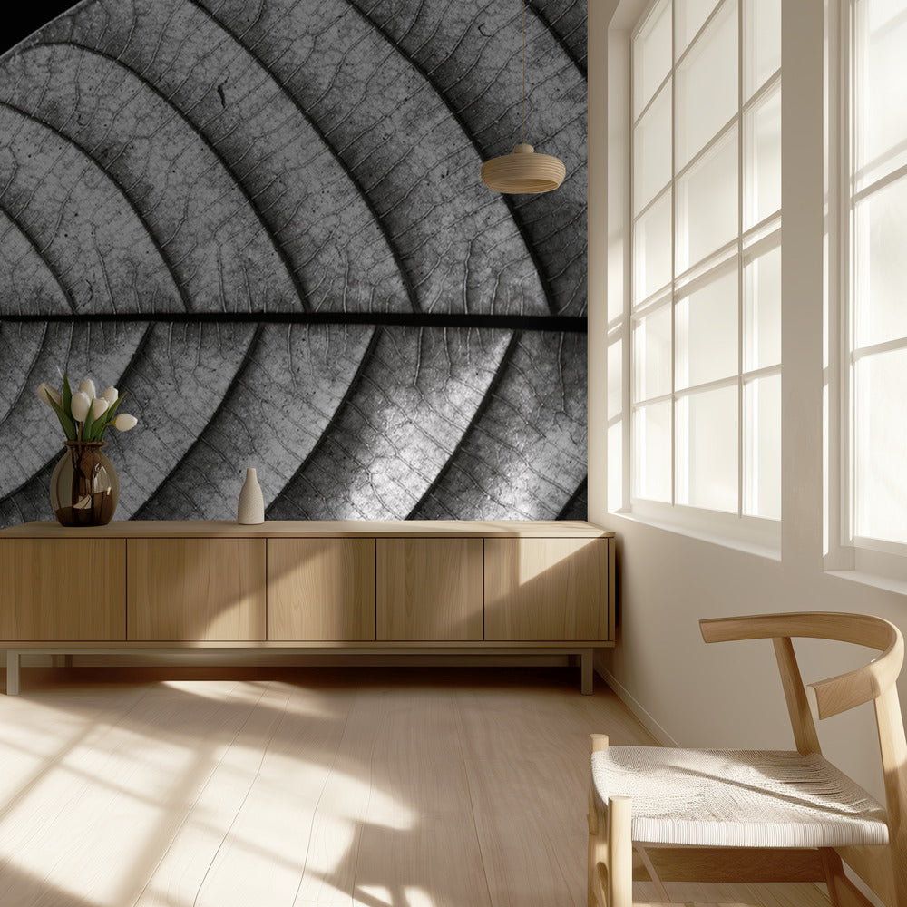 Dry Fish | Wallpaper