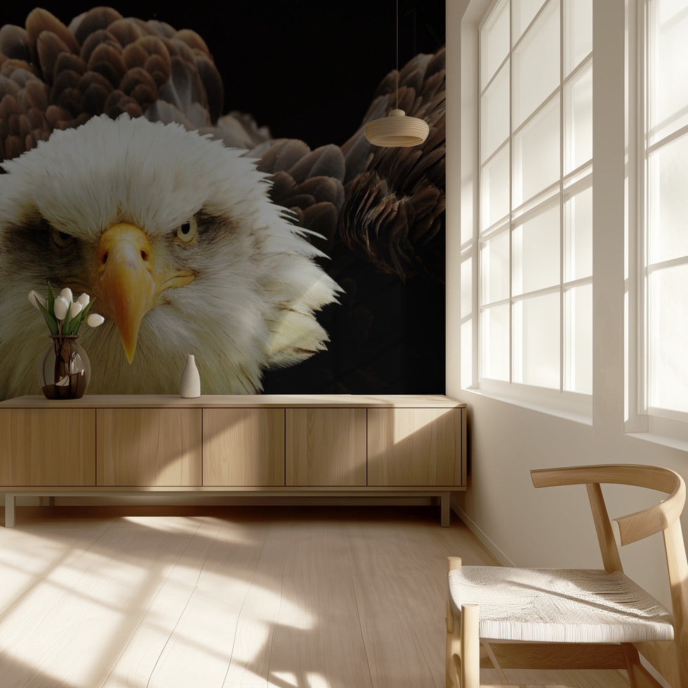 The Judge | Wallpaper