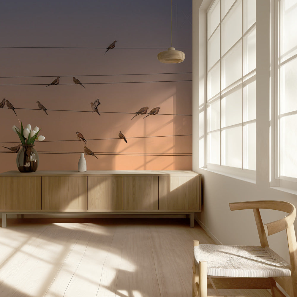 Music of Light | Wallpaper