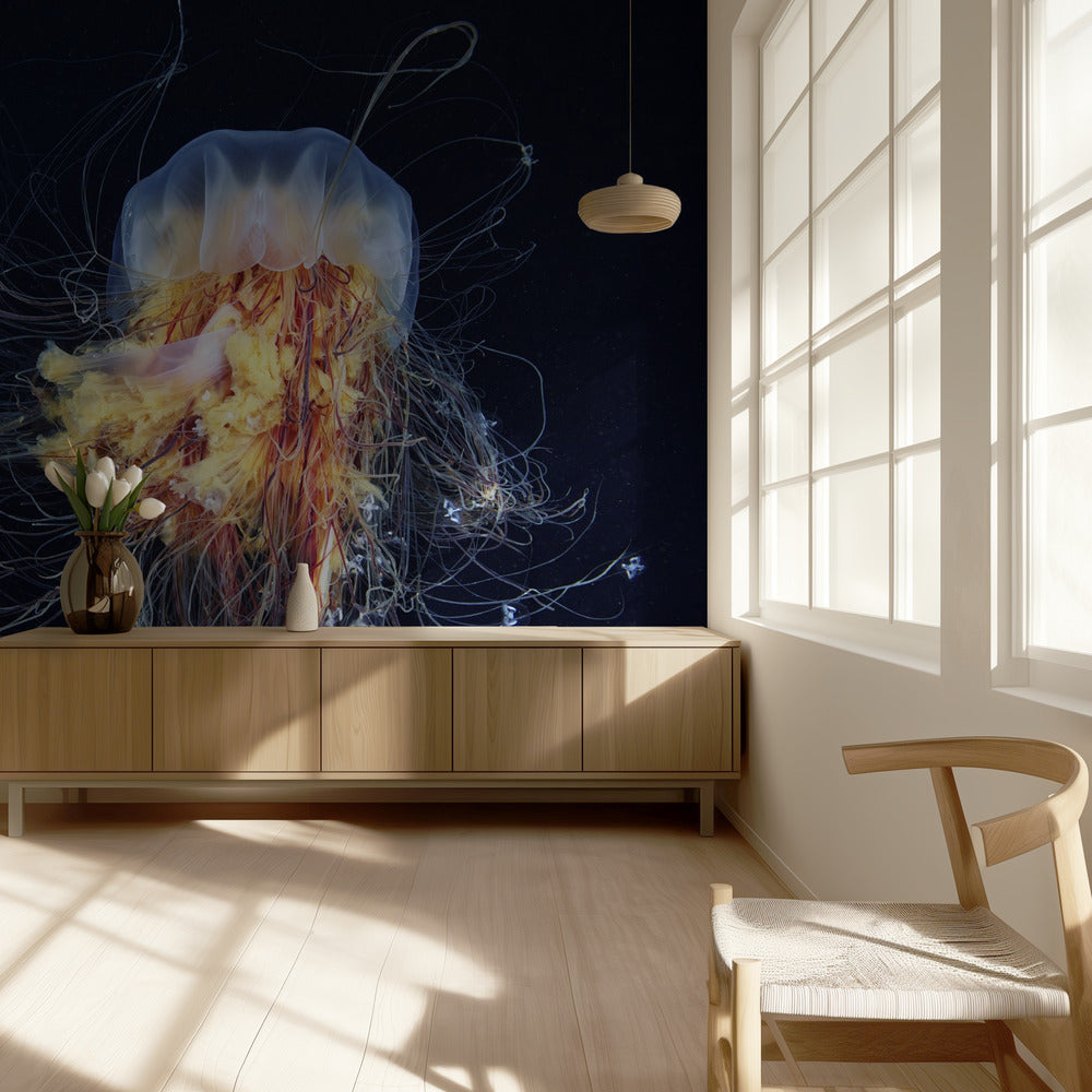 Giant Lion's Mane | Wallpaper