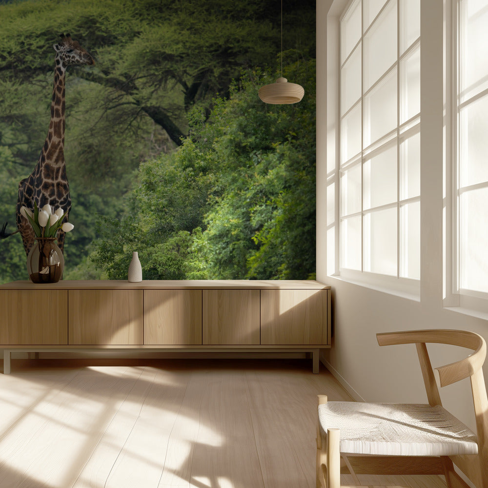 unexpected meeting | Wallpaper