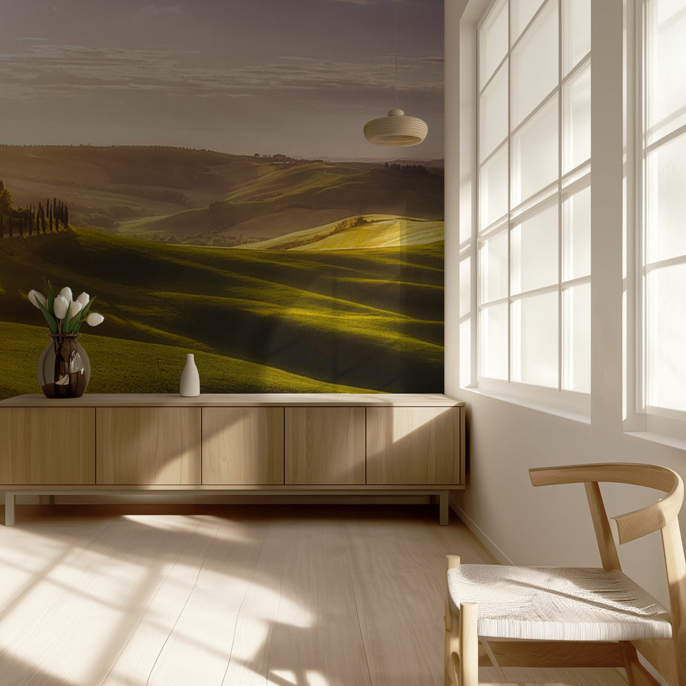 Waves of Light | Wallpaper