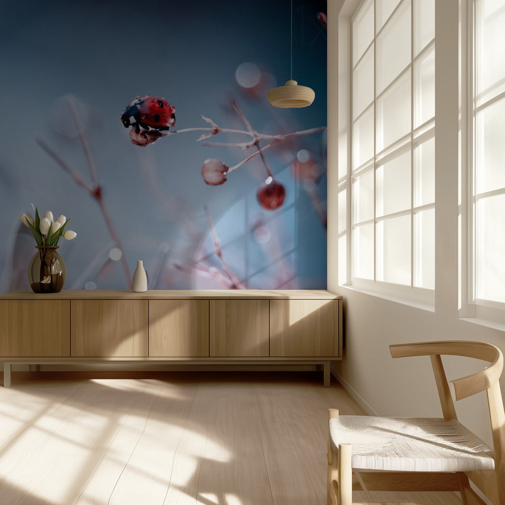 High Diving | Wallpaper