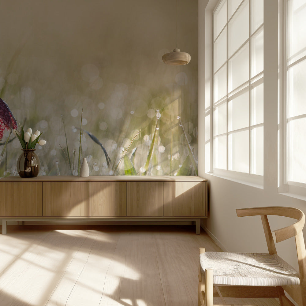 Morningdew | Wallpaper