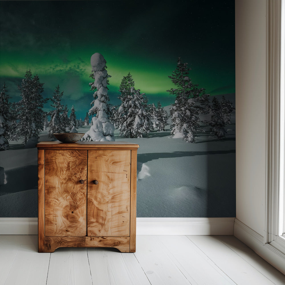 polar night | Wallpaper