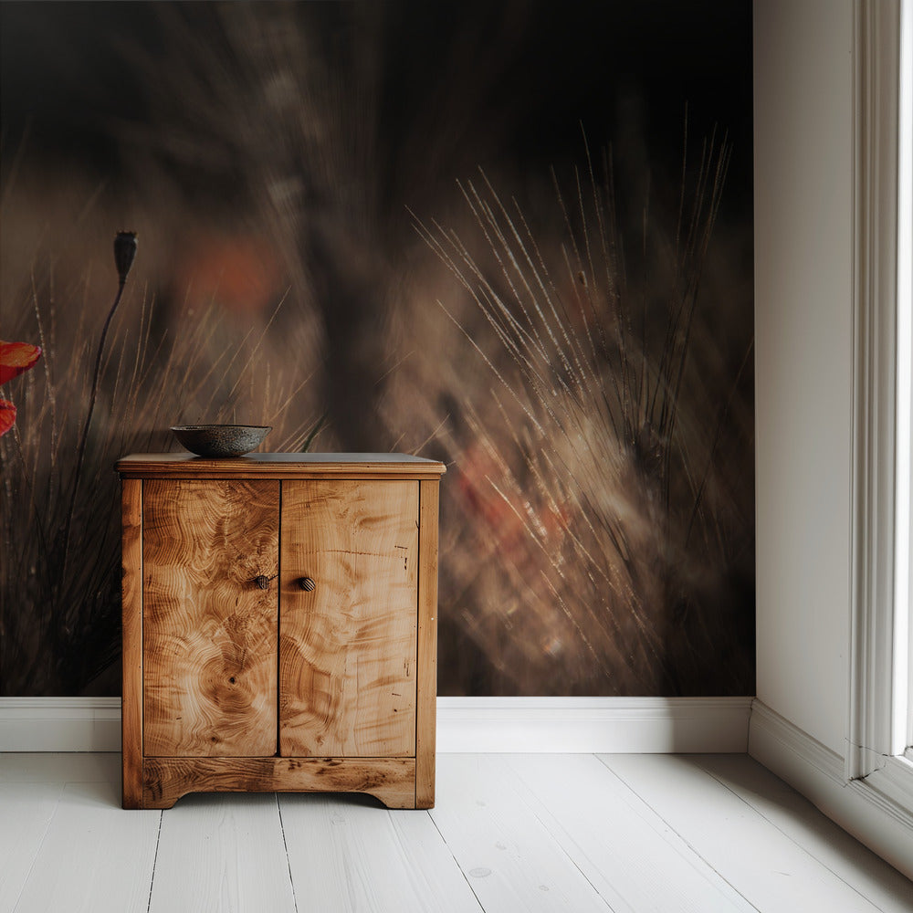 Poppy with corn | Wallpaper