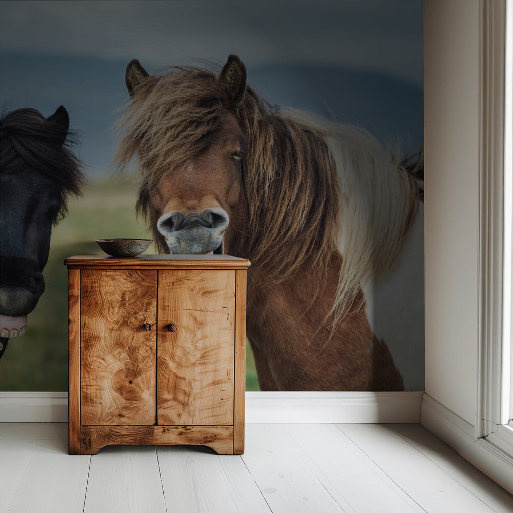 WILD SMILE | Wallpaper