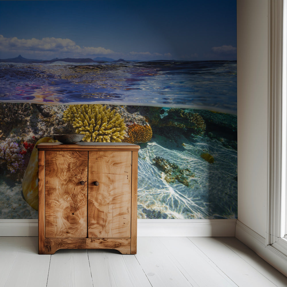 Lagoon life | Wallpaper