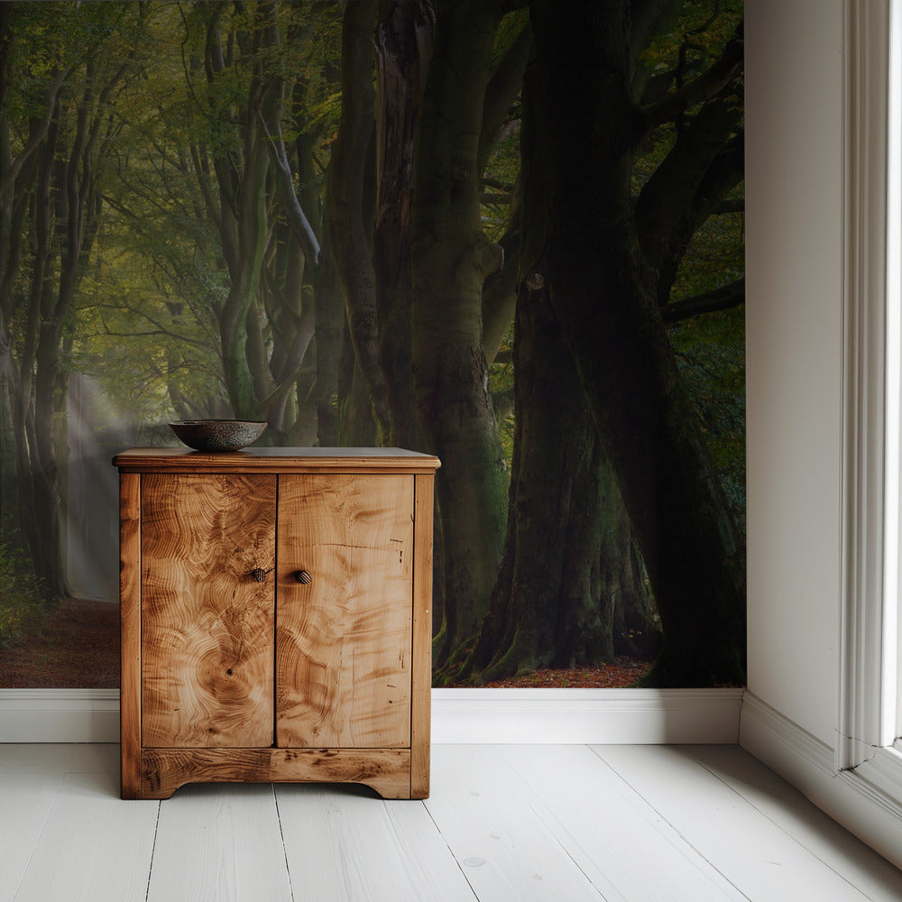 A Glorious Day | Wallpaper