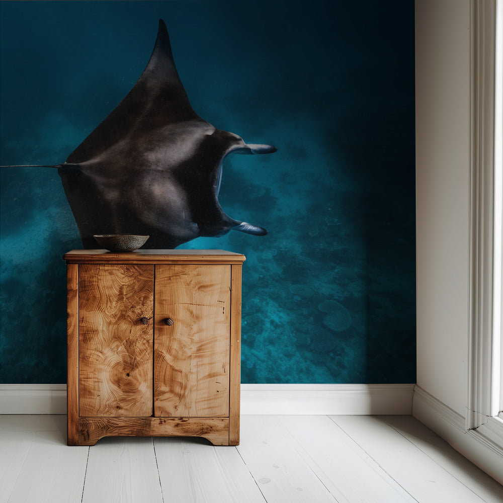 Manta fly!!! | Wallpaper