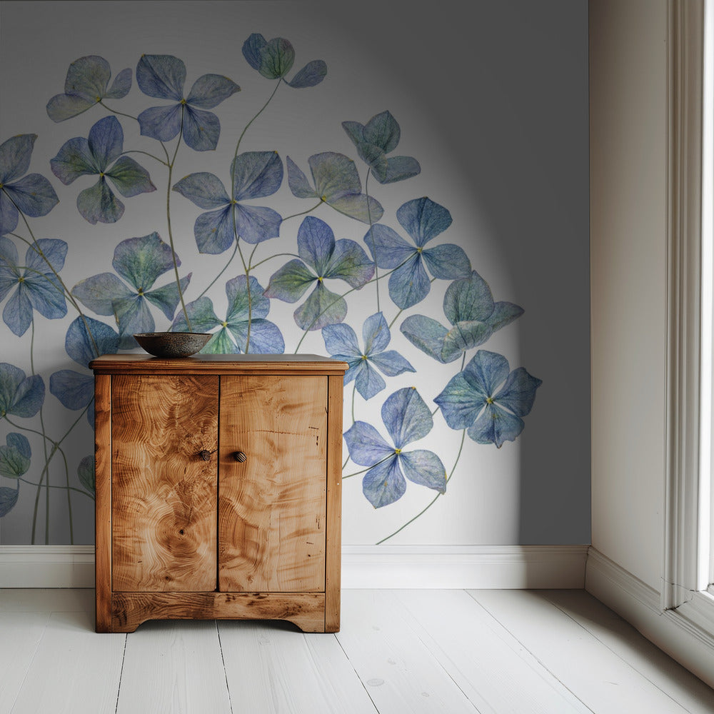 Hydrangea | Wallpaper