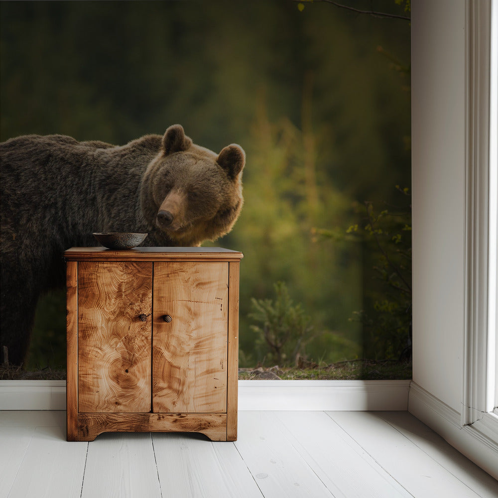 Backlit bear | Wallpaper