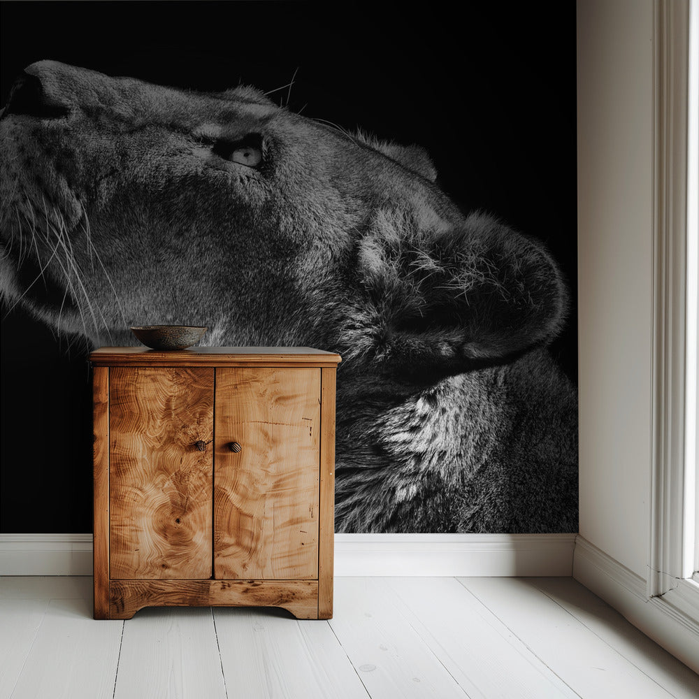 Looking Up | Wallpaper