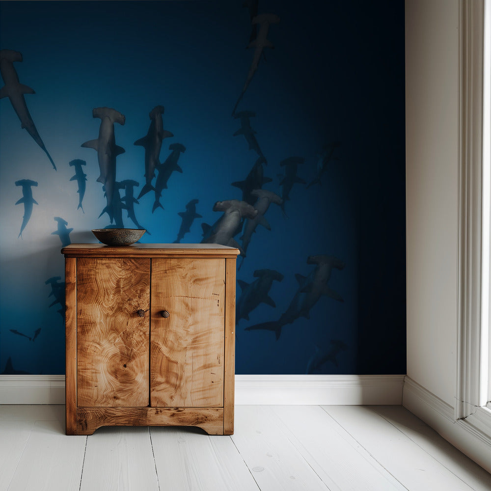 Hammerhead Shark - Underwater Photography | Wallpaper