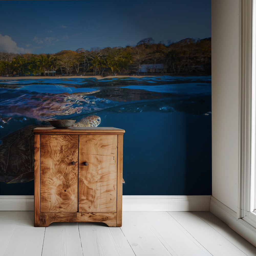 Green Turtle - Sea Turtle | Wallpaper