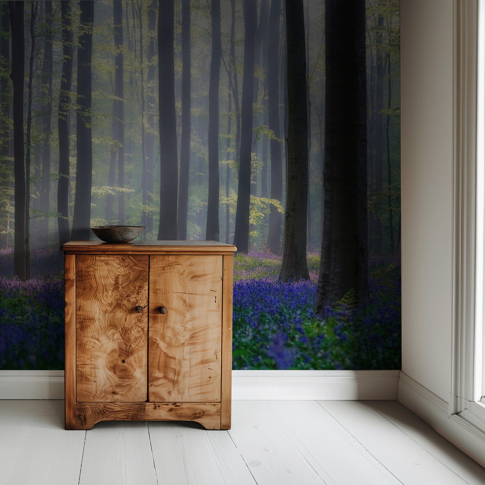 Bluebells | Wallpaper