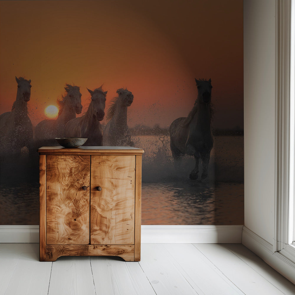 Sunset in Camargue | Wallpaper