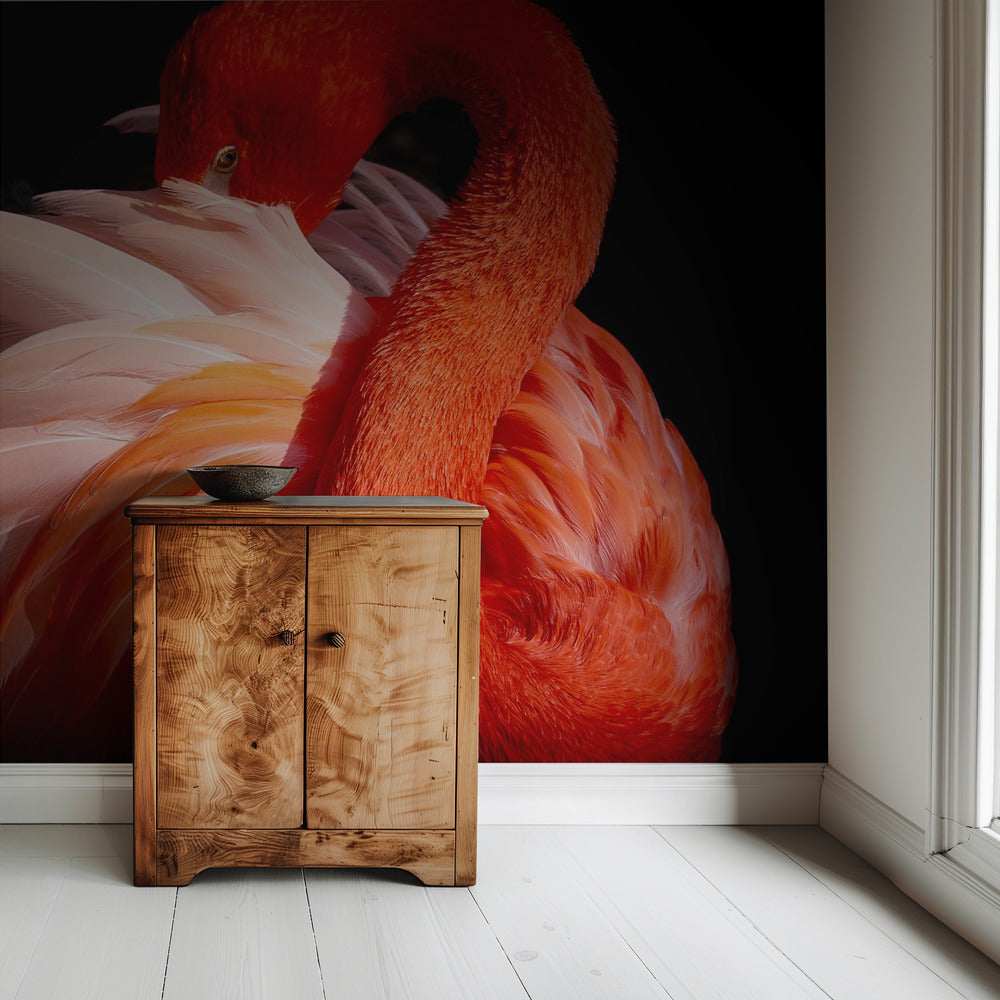 flamingo | Wallpaper