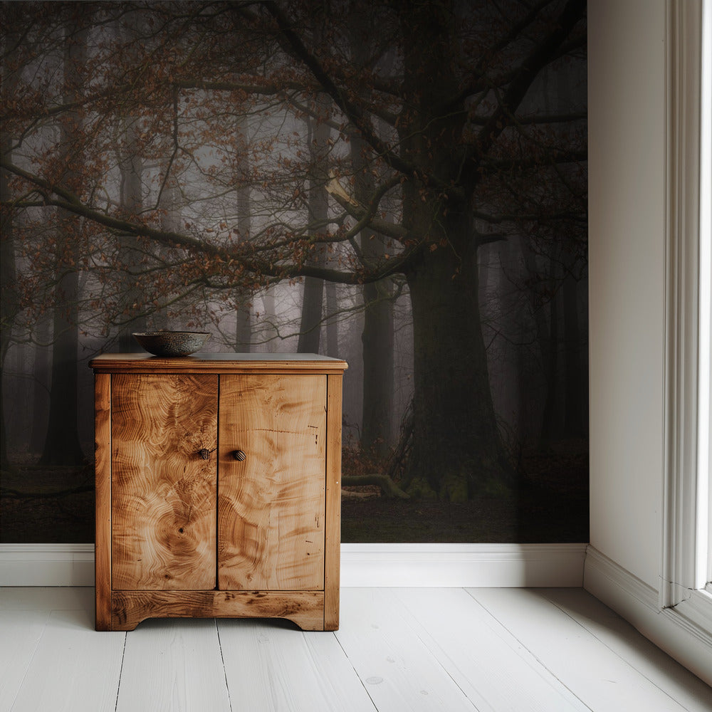 Foggy memory  of the past | Wallpaper