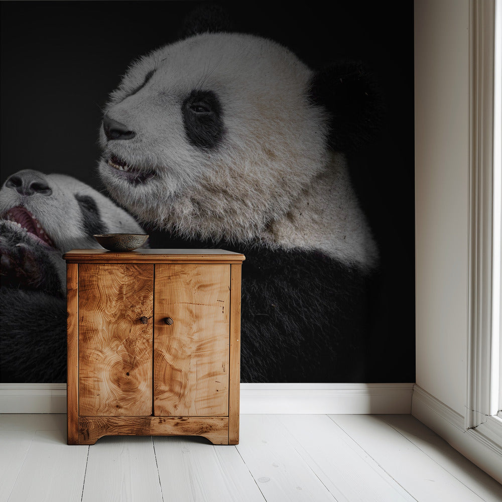 Pandas | Wallpaper