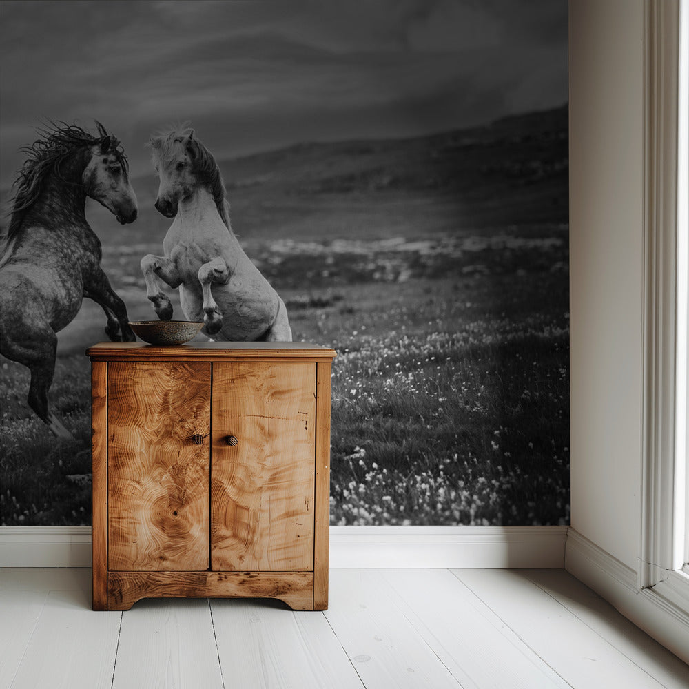 Wild and free | Wallpaper