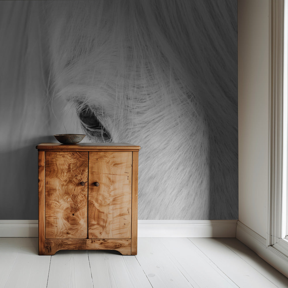 Whisper of Iceland | Wallpaper