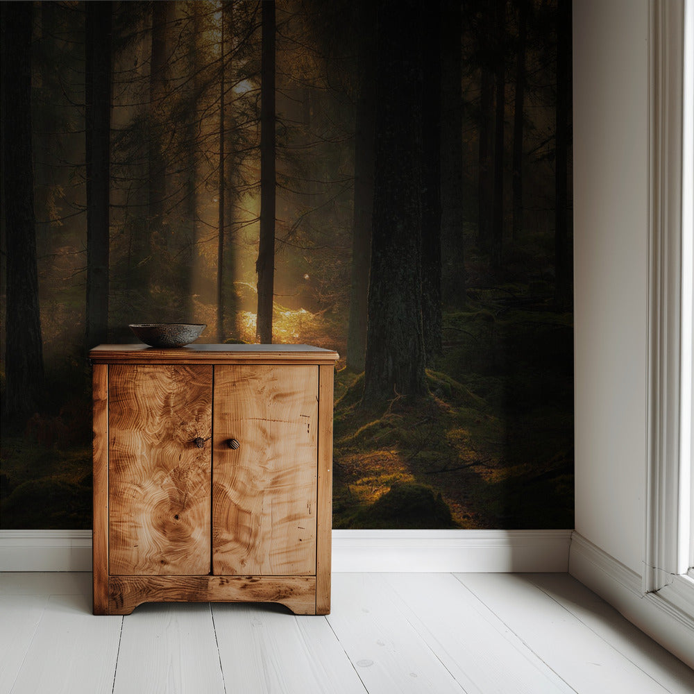 The light in the forest | Wallpaper