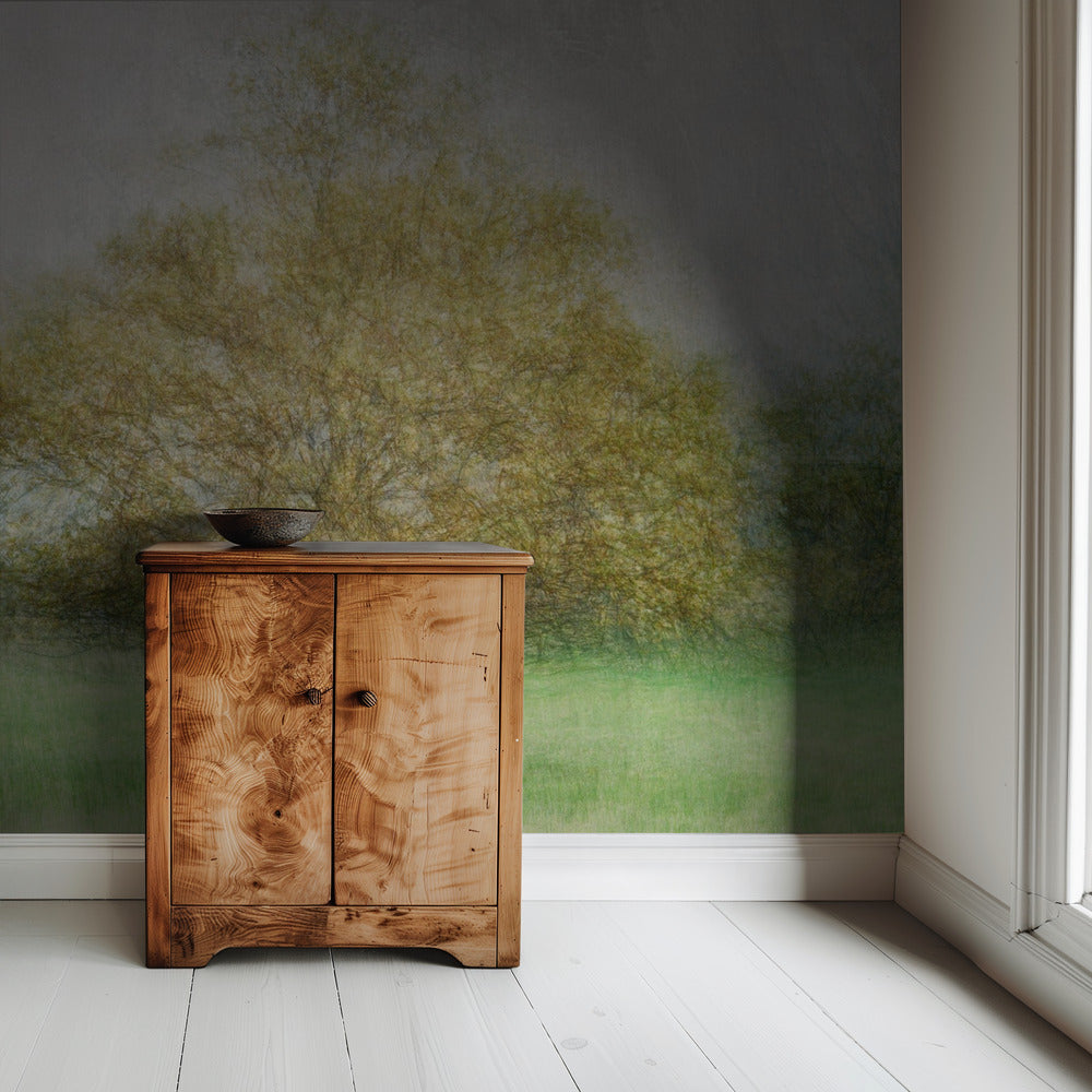 Solitaire | Wallpaper