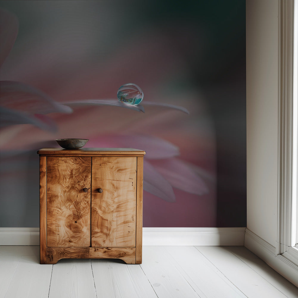 Sunbeam..II | Wallpaper