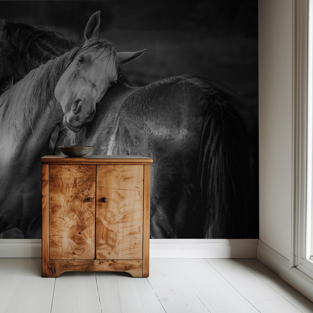 Warm rain | Wallpaper