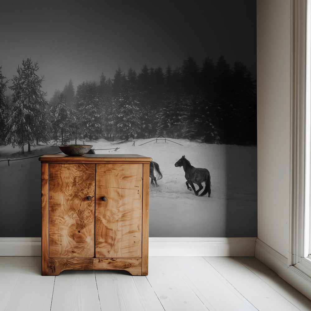 Untitled | Wallpaper