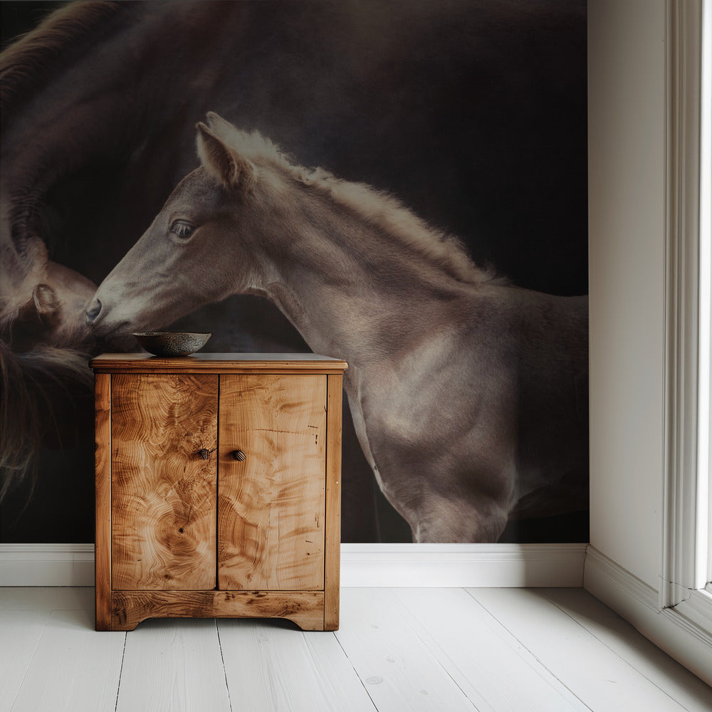 The Bond | Wallpaper