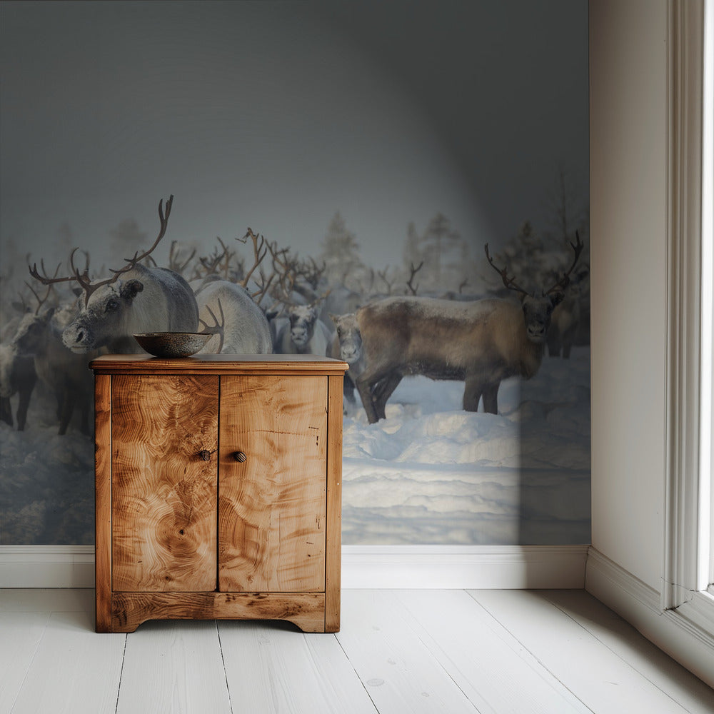Reindeers | Wallpaper
