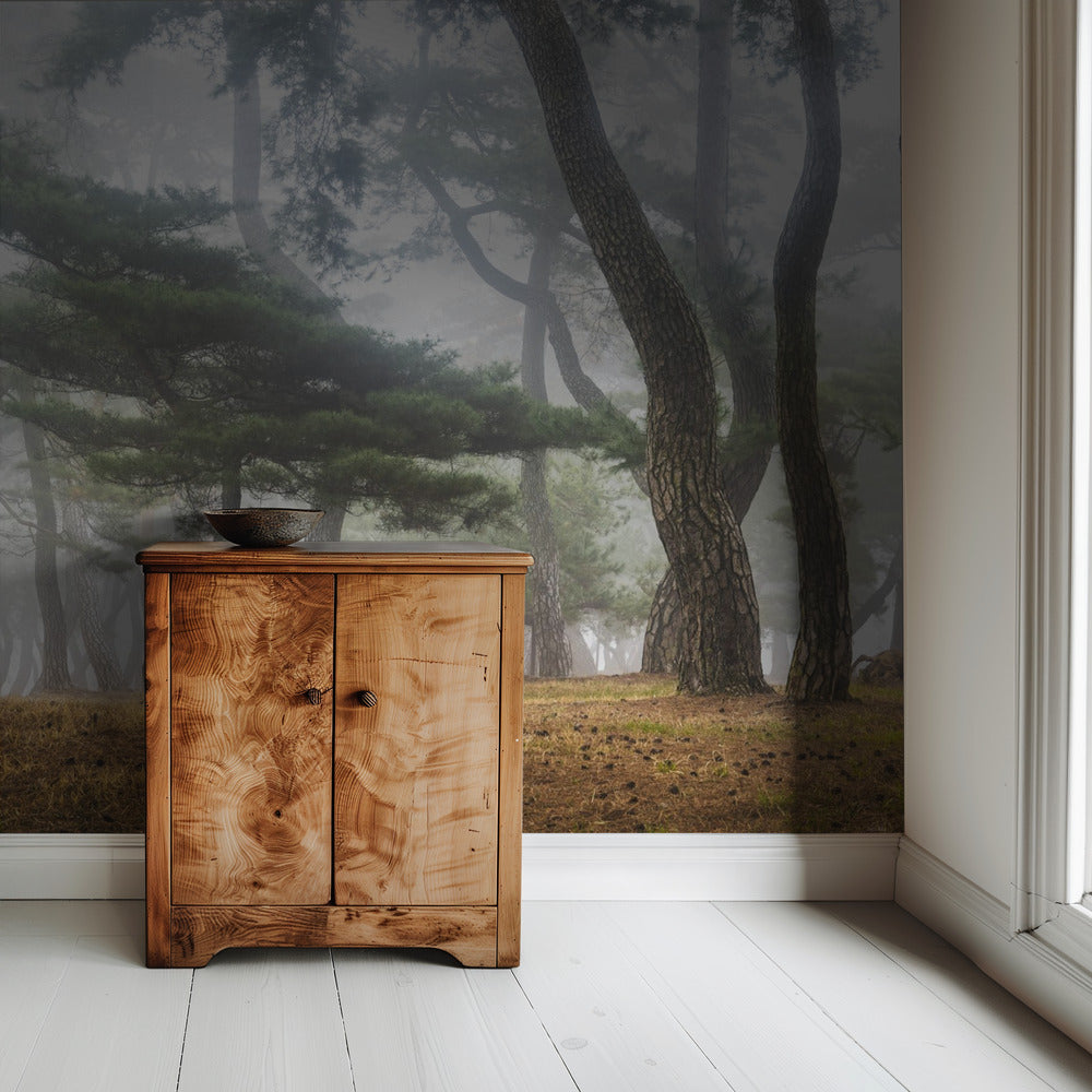 In The Misty Pine Forest | Wallpaper