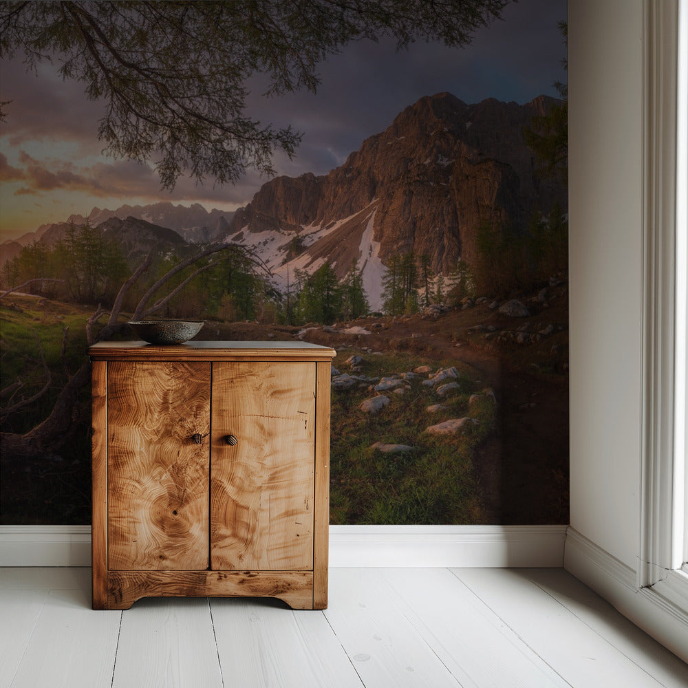 Magical morning | Wallpaper