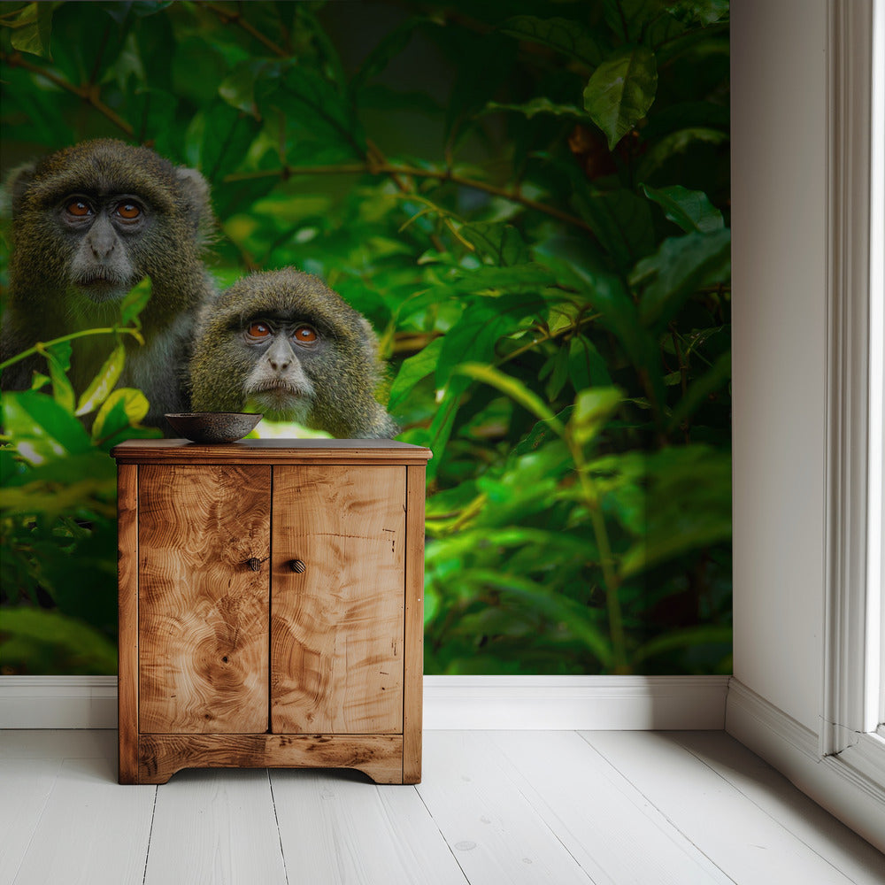 Blue Monkey | Wallpaper