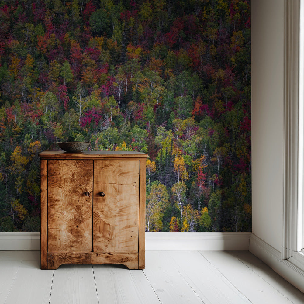 Color palette | Wallpaper